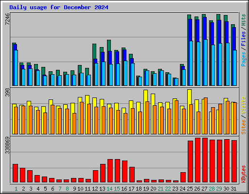 Daily usage for December 2024