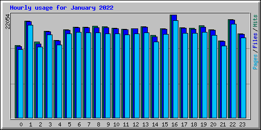 Hourly usage for January 2022