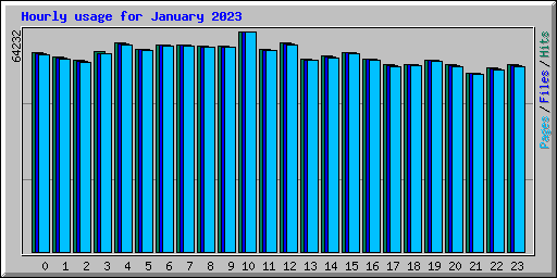 Hourly usage for January 2023