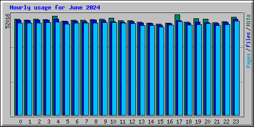 Hourly usage for June 2024