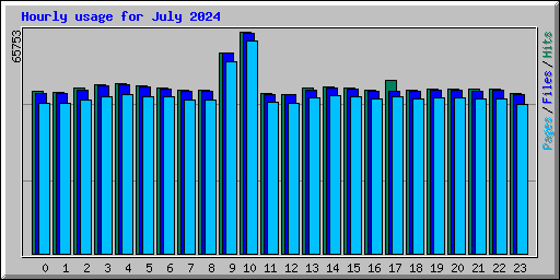 Hourly usage for July 2024