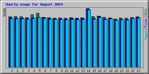 Hourly usage for August 2024