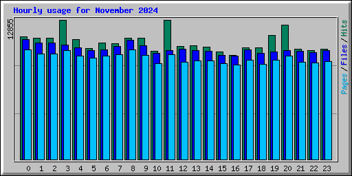 Hourly usage for November 2024