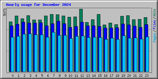 Hourly usage for December 2024