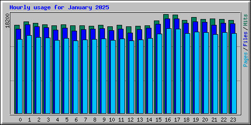 Hourly usage for January 2025