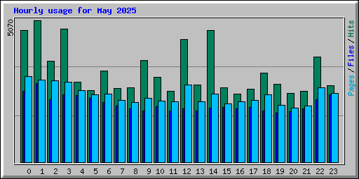 Hourly usage for May 2025