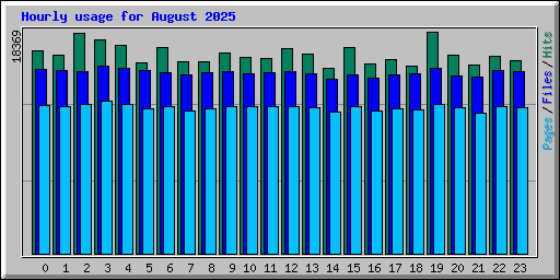 Hourly usage for August 2025