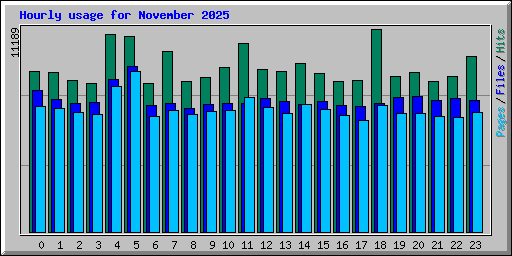 Hourly usage for November 2025