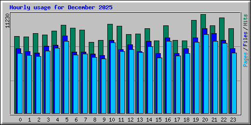Hourly usage for December 2025