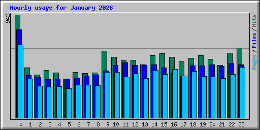 Hourly usage for January 2026