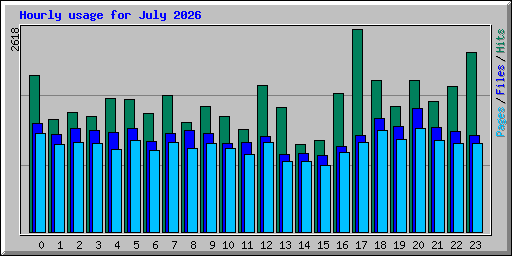 Hourly usage for July 2026