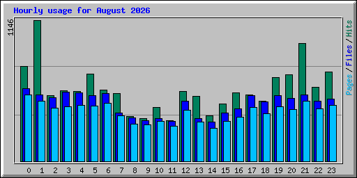 Hourly usage for August 2026